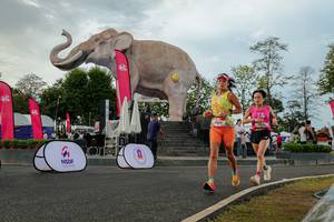 BIB: 
                            <button type="button" onclick="openModal(26528597)" class="btn btn-primary btn-sm float-right btn-popup" data-toggle="modal" data-target=".modal-high-quality">
                        <i class="fas fa-shopping-cart"></i> Add to Cart
                    </button>
                                            <button type="button" onclick="isThisMe(26528597, true)" class="btn btn-success btn-sm float-right btn-popup btn-isme hidden" data-toggle="tooltip" data-placement="bottom" title="นี่คือรูปของคุณใช่ไหม คลิกที่นี่เพื่อเอาเข้าอัลบั้ม">
                        <i class="fas fa-plus"></i> Add to album
                    </button>
                    <button type="button" onclick="isThisMe(26528597, false)" class="btn btn-warning btn-sm float-right btn-popup btn-isnotme hidden">
                        <i class="fas fa-ban"></i> Remove from album
                    </button>